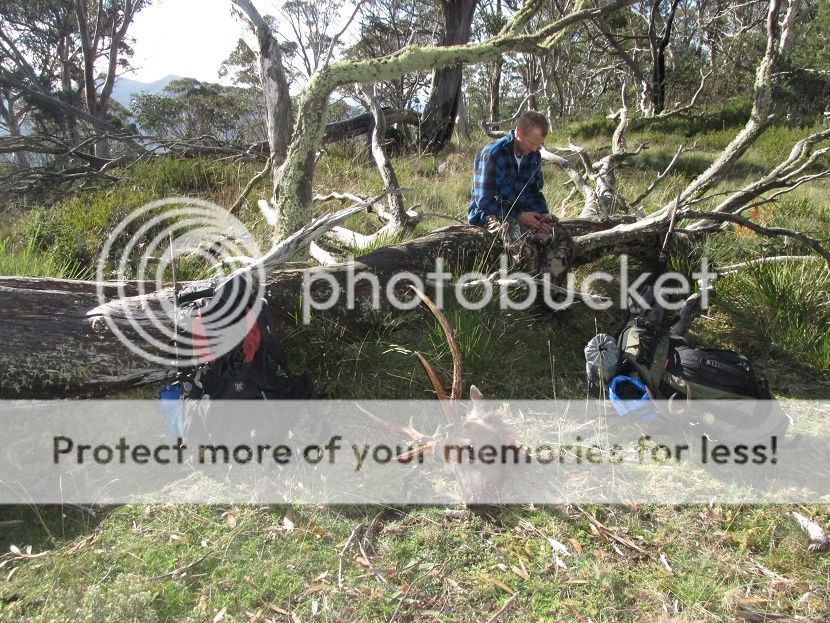 IMG_3381packing%20out.jpg~original