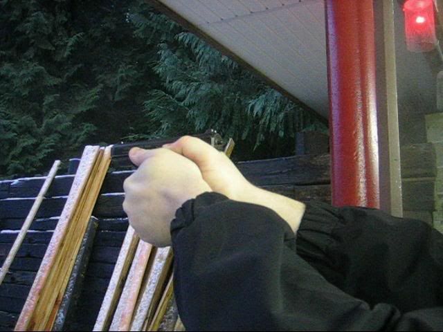 PSP14.jpg