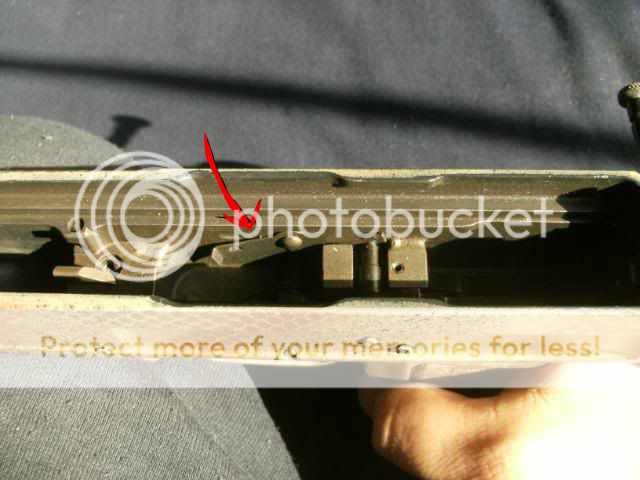 123.jpg
