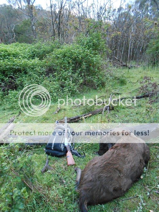 DSCN0691scenicspike.jpg~original