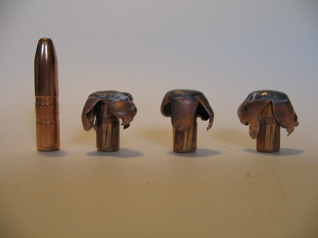 Lapua156gr-Mega.jpg