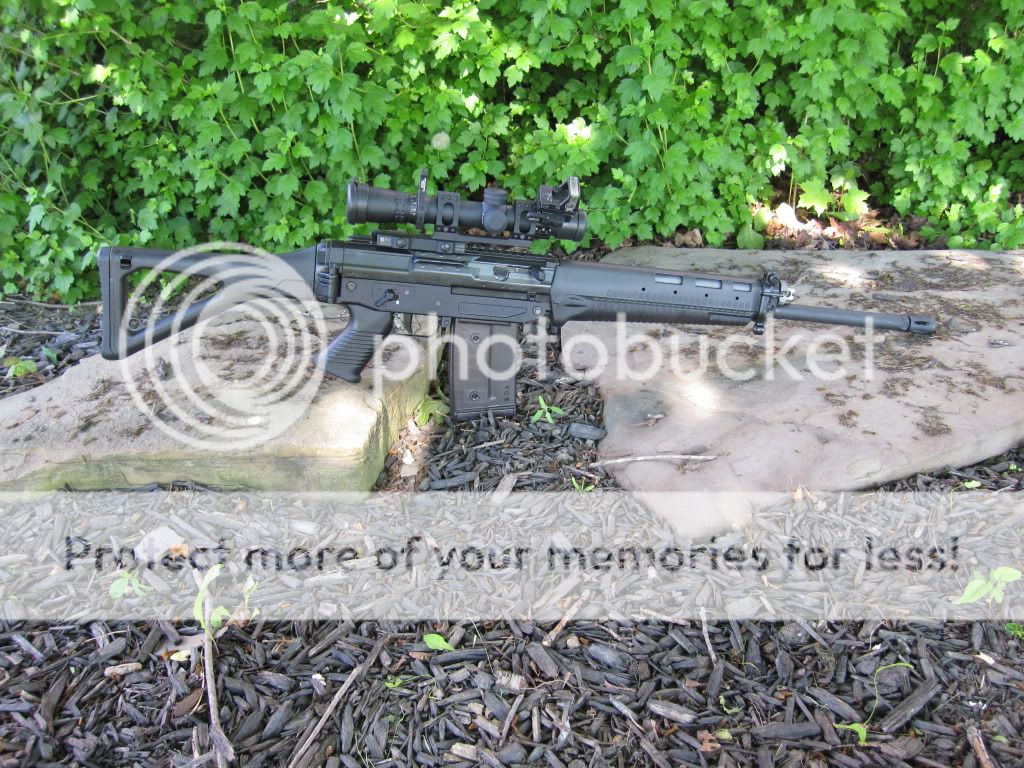 IMG_2295.jpg