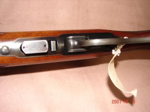 DSC03681.jpg