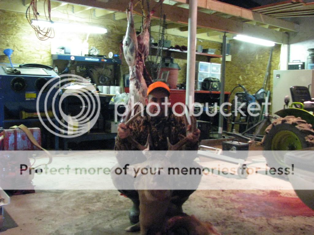 006.jpg