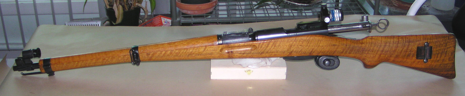 P1010177.jpg
