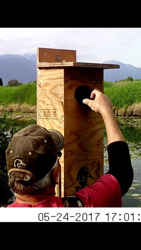 image_zpsboboqqvf.png~original