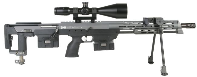 dsr1-308-1.jpg