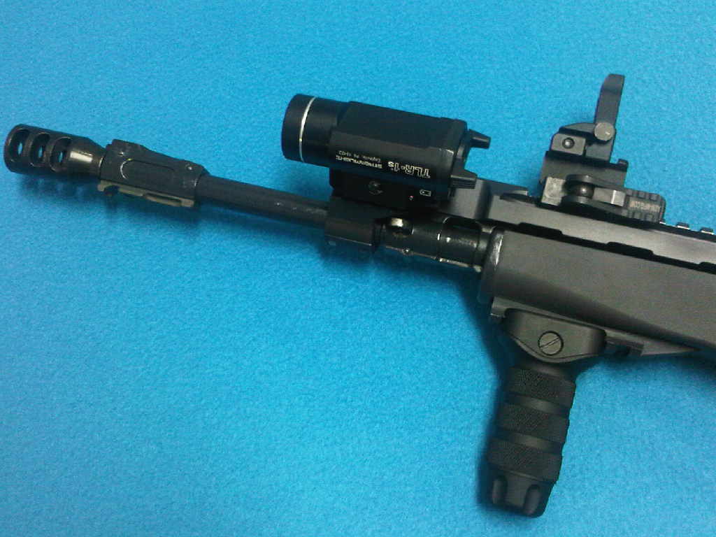 TLR1_a.jpg