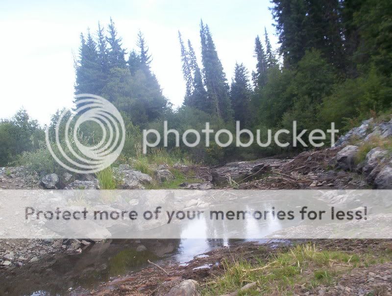 100_6630.jpg