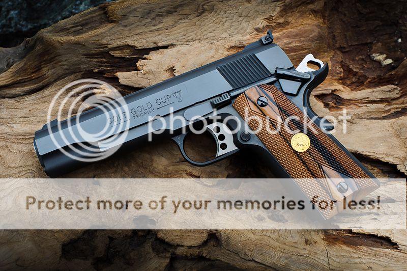 Colt-0075.jpg