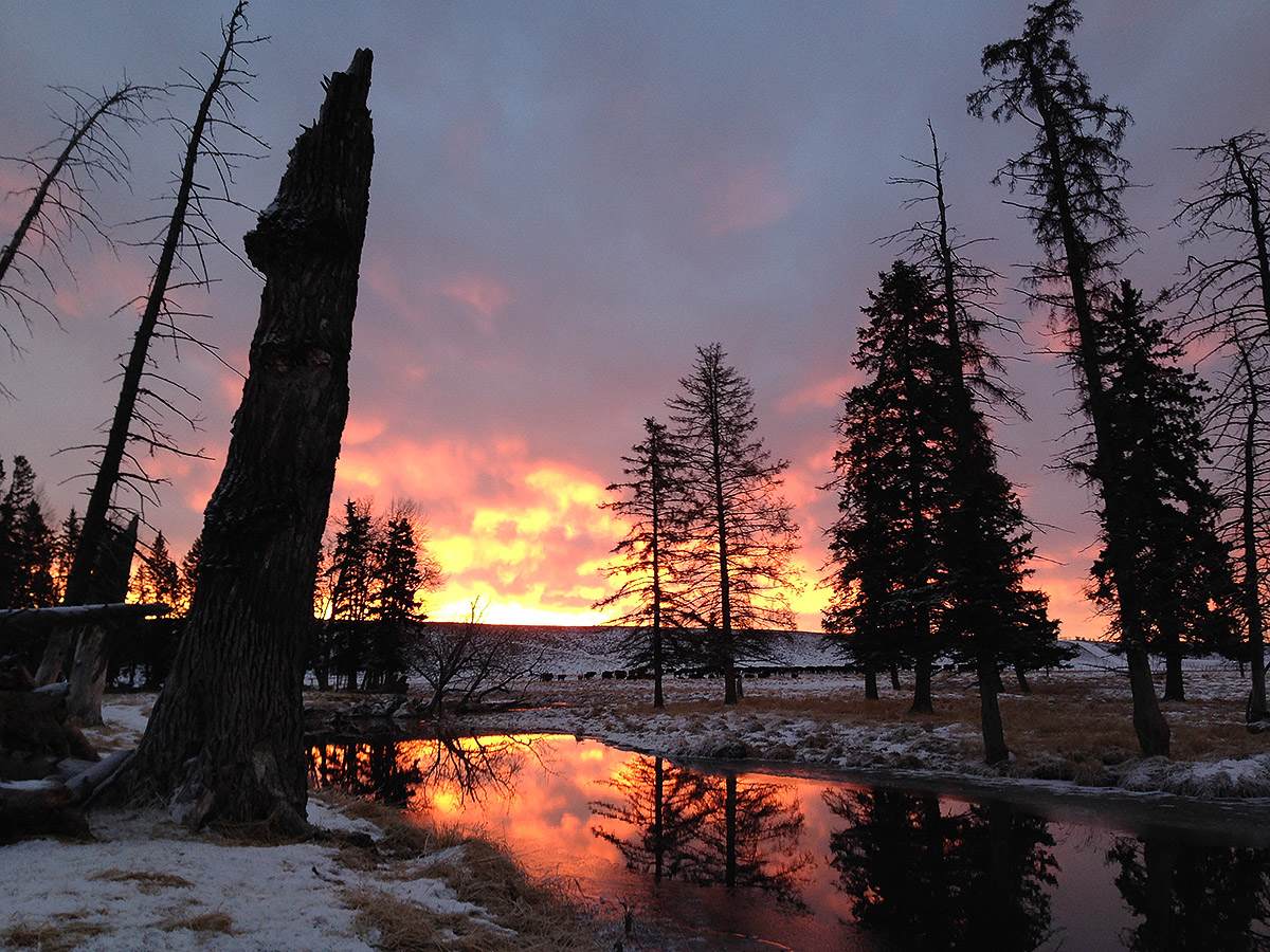 Creek_sunrise_a.jpg