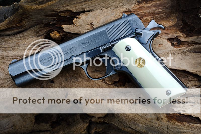 Colt-0081.jpg