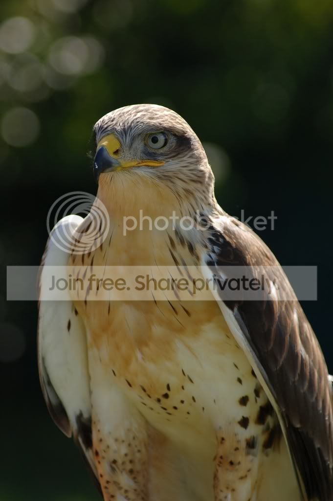 DSC_0093_2.jpg