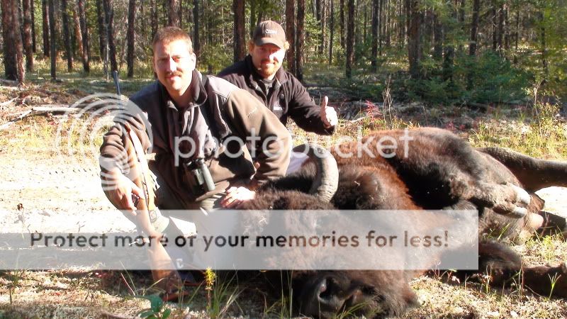 BisonHunting7.jpg