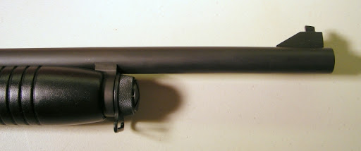 Grizzly_forend.jpg