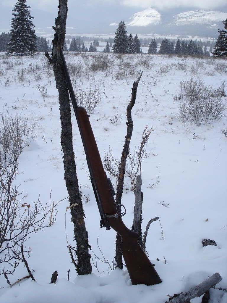 DSC00454.jpg
