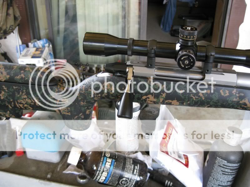 Riflepics013.jpg