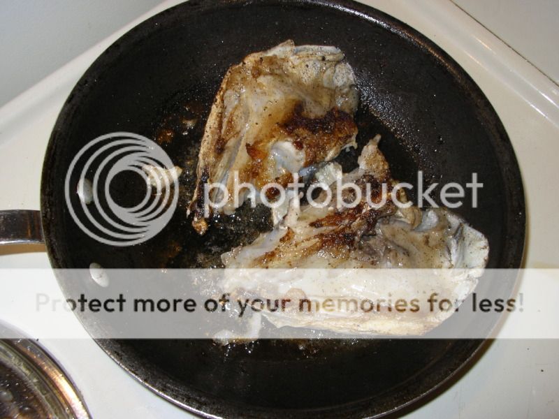 IMGP3560.jpg