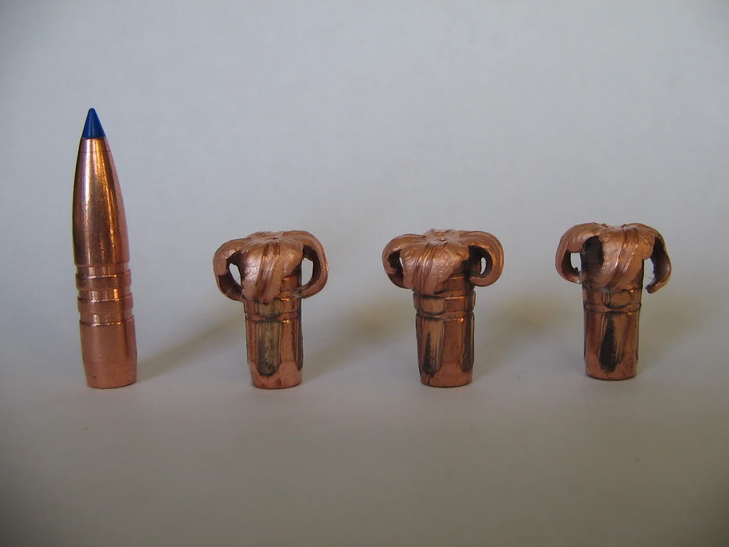 120gr-TTSX.jpg