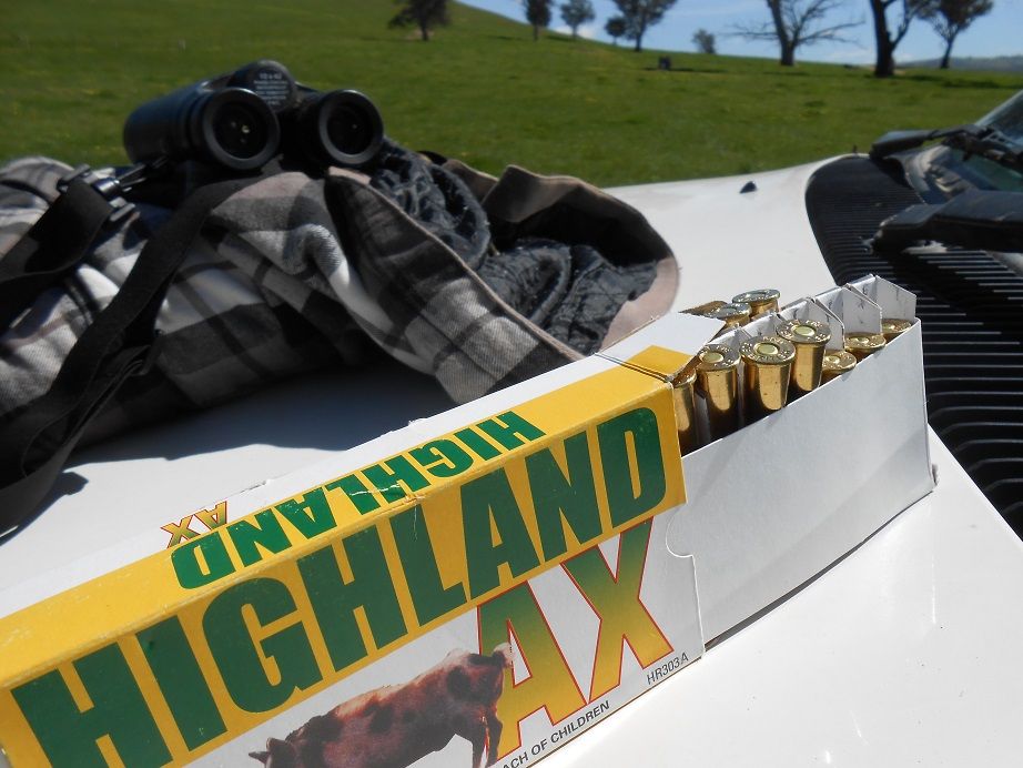 DSCN0610highlandammo.jpg~original