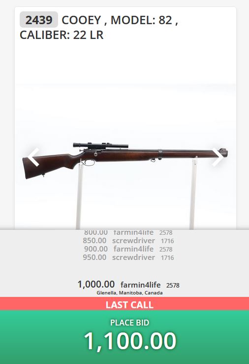 gA1CPfy.jpg
