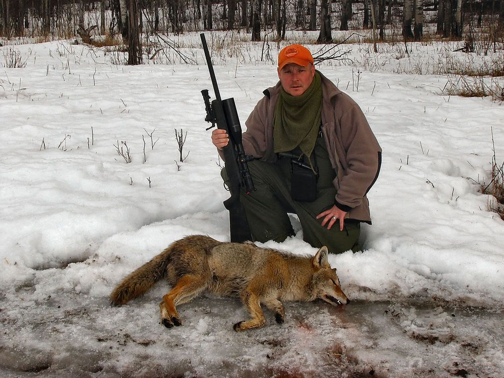 coyotecalledandshot210ydswithH-S22-.jpg