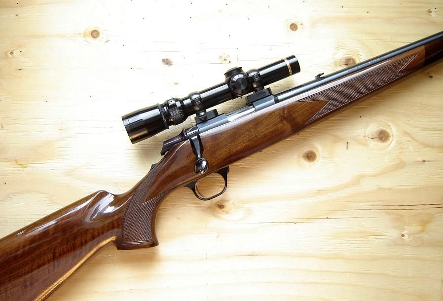 Abolt-22.jpg
