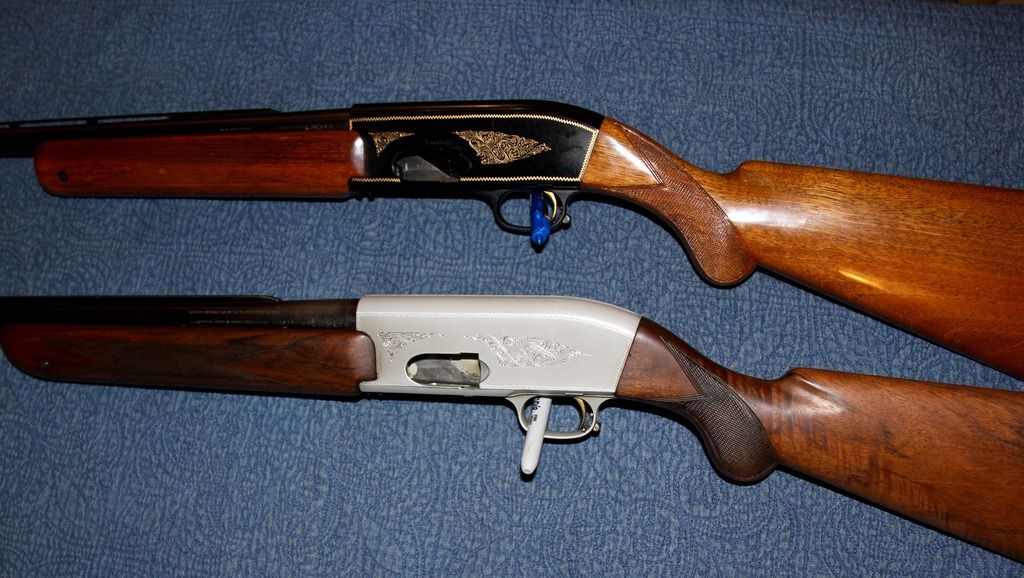 IMG_1263_zpslxdiqgiy.jpg~original