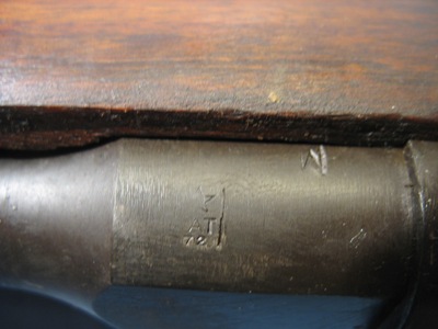 Copy%20of%20Enfield22_canna.JPG