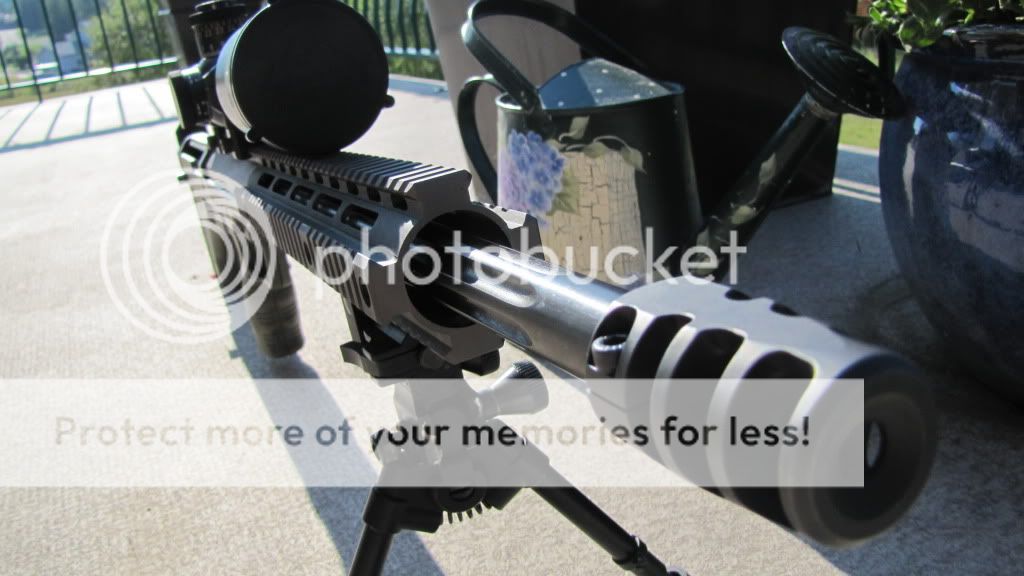 Picture013.jpg