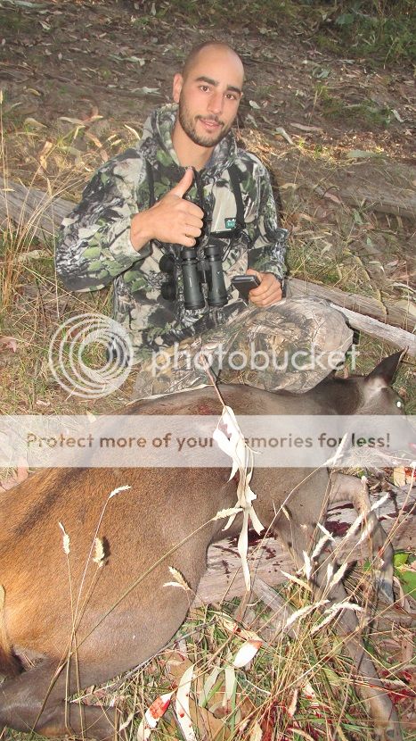 IMG_4670sambarmark.jpg~original