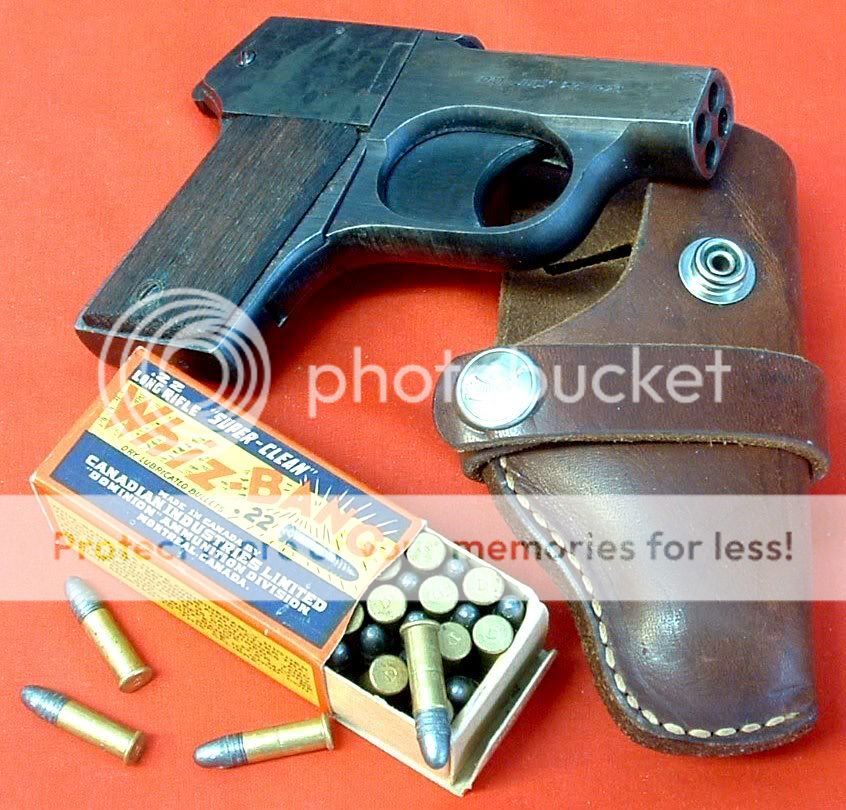 BROWNIEVAR3POSED_edited.jpg