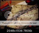 dsc050926ozth.jpg