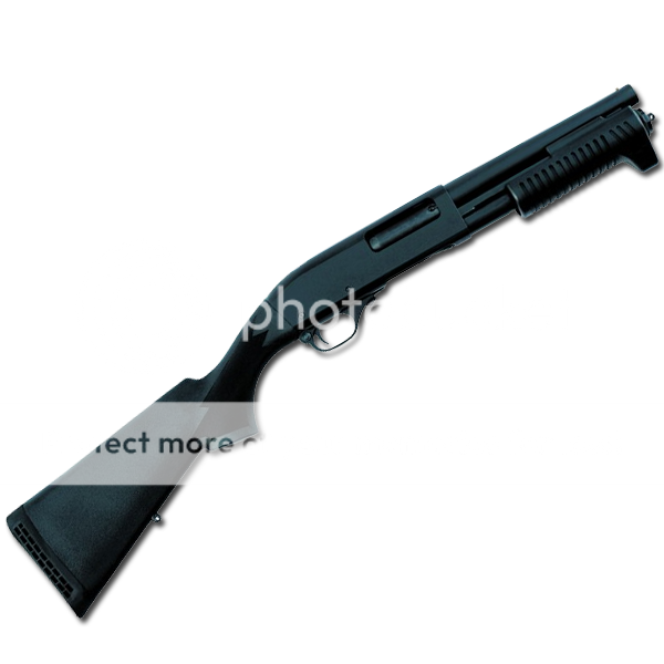Grizzly-600.png