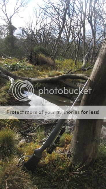 IMG_5557.jpg~original