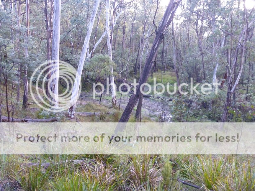 bigwallow_zps6d001d05.jpg~original