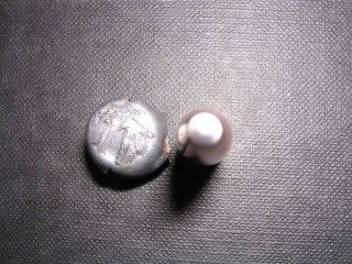 DSCN0802.jpg