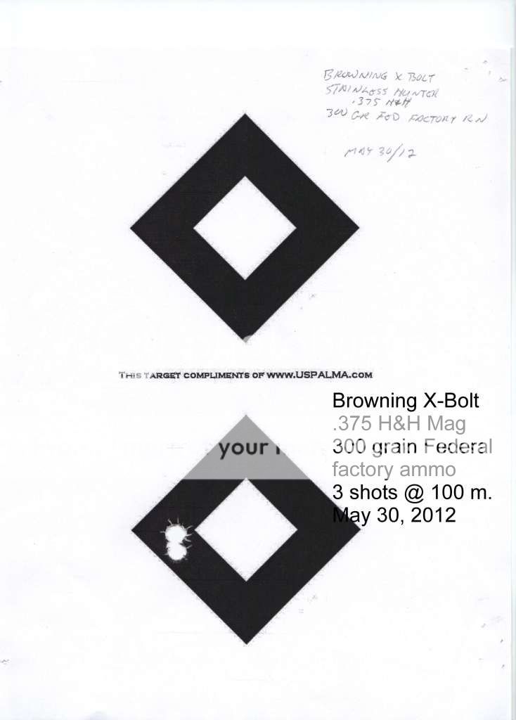 Browningx-bolt375magtarget.jpg