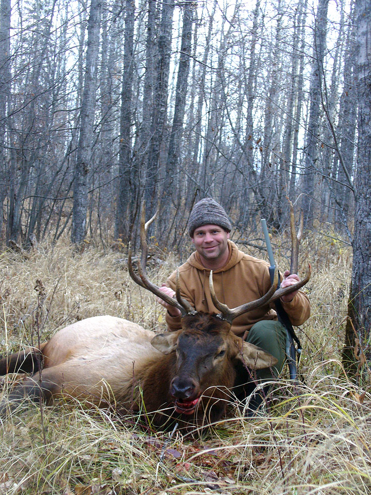 2010_bull_elk_a_small.JPG