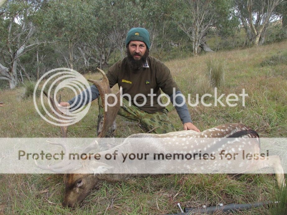 IMG_3163Buck708.jpg~original