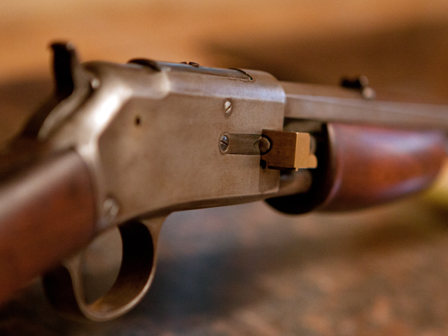 colt%2022-3.jpg