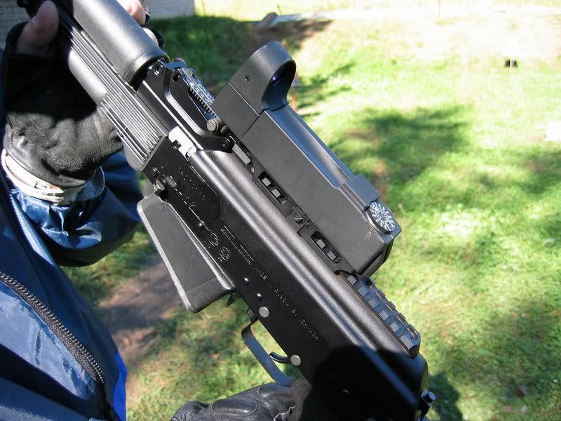 saiga-3.jpg