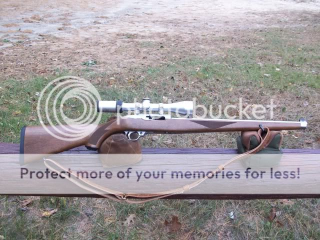 Ruger1022003.jpg