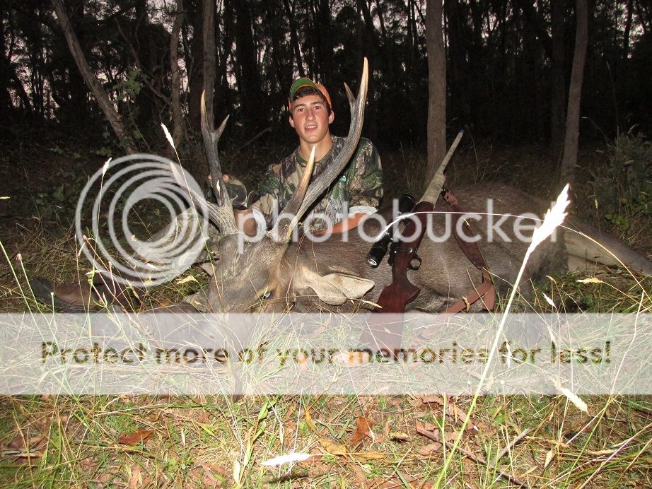 IMG_0487dyl270.jpg~original