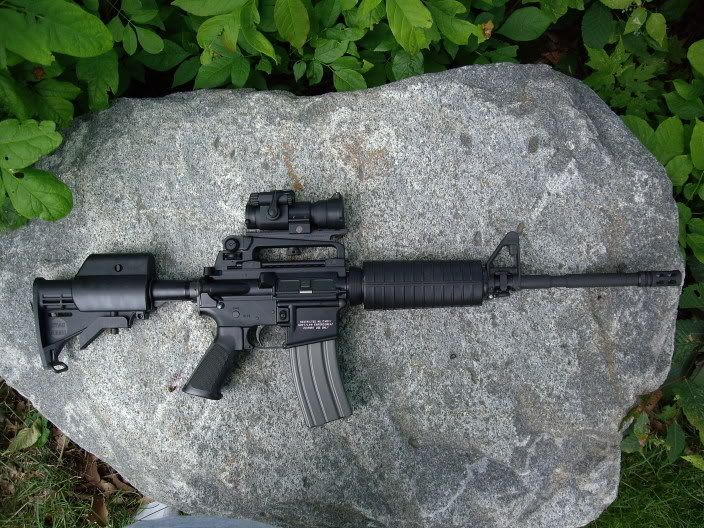 StagArms1.jpg