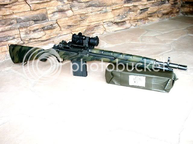 m14sasmall1.jpg