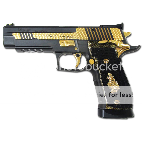 SIG-X5BlkNgt-600_zpsghe34izc.png