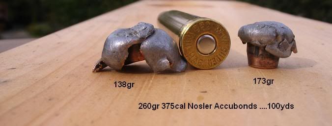 375Nosler08moose006.jpg