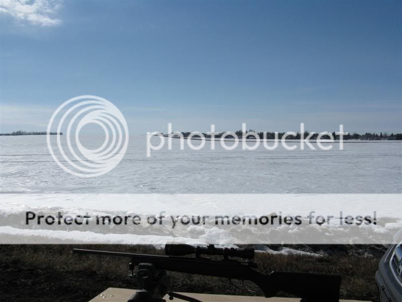IMG_1212Medium.jpg