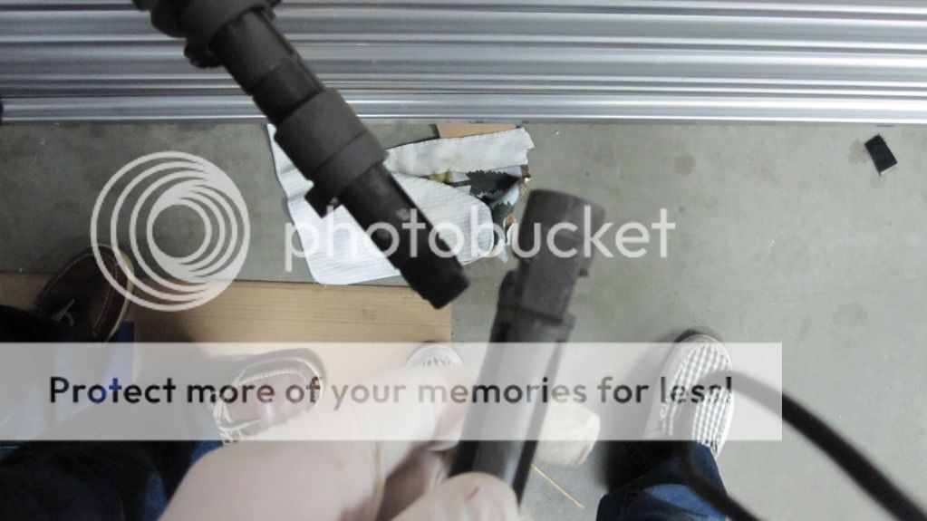 PictureorVideo015.jpg